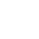 pn-icon