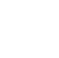 pn-icon