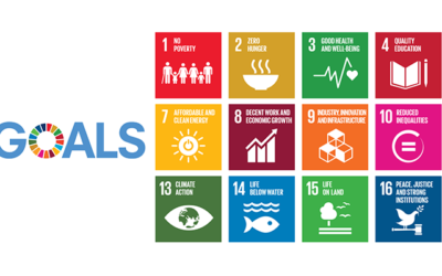 Passerelles numériques supports the Sustainable Development Goals
