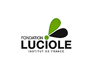 Fondation Luciole