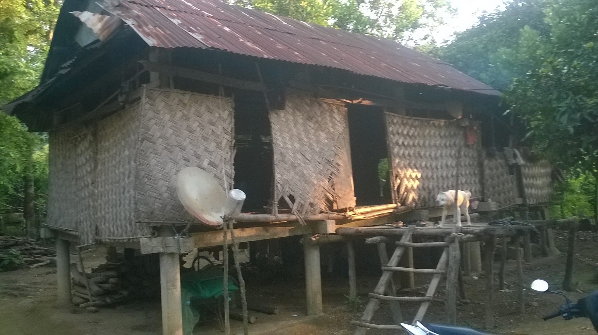 ngoinhatruockhi-vaopnv